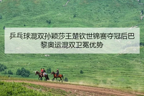 ping-pang-qiu-hun-shuang-sun-ying-sha-wang-chu-qin-shi-jin-sai-duo-guan-hou-ba-li-ao-yun-hun-shuang-wei-mian-you-shi-1-357.jpg