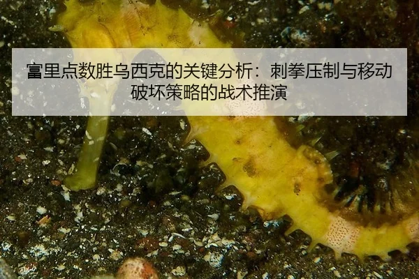 fu-li-dian-shu-sheng-wu-xi-ke-de-guan-jian-fen-xi-ci-quan-ya-zhi-yu-yi-dong-po-huai-ce-lve-de-zhan-shu-tui-yan-3-806.jpg
